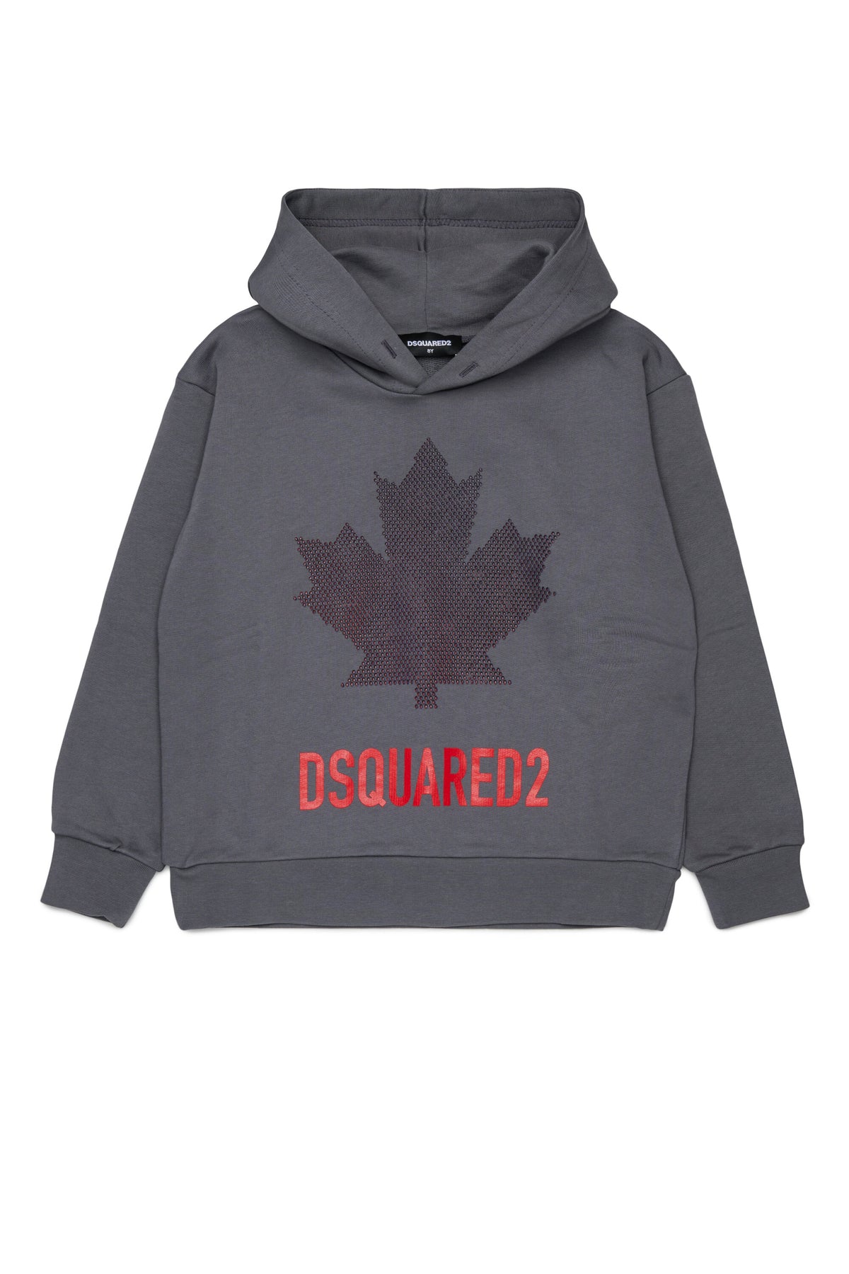 Hooded sweatshirt with logo