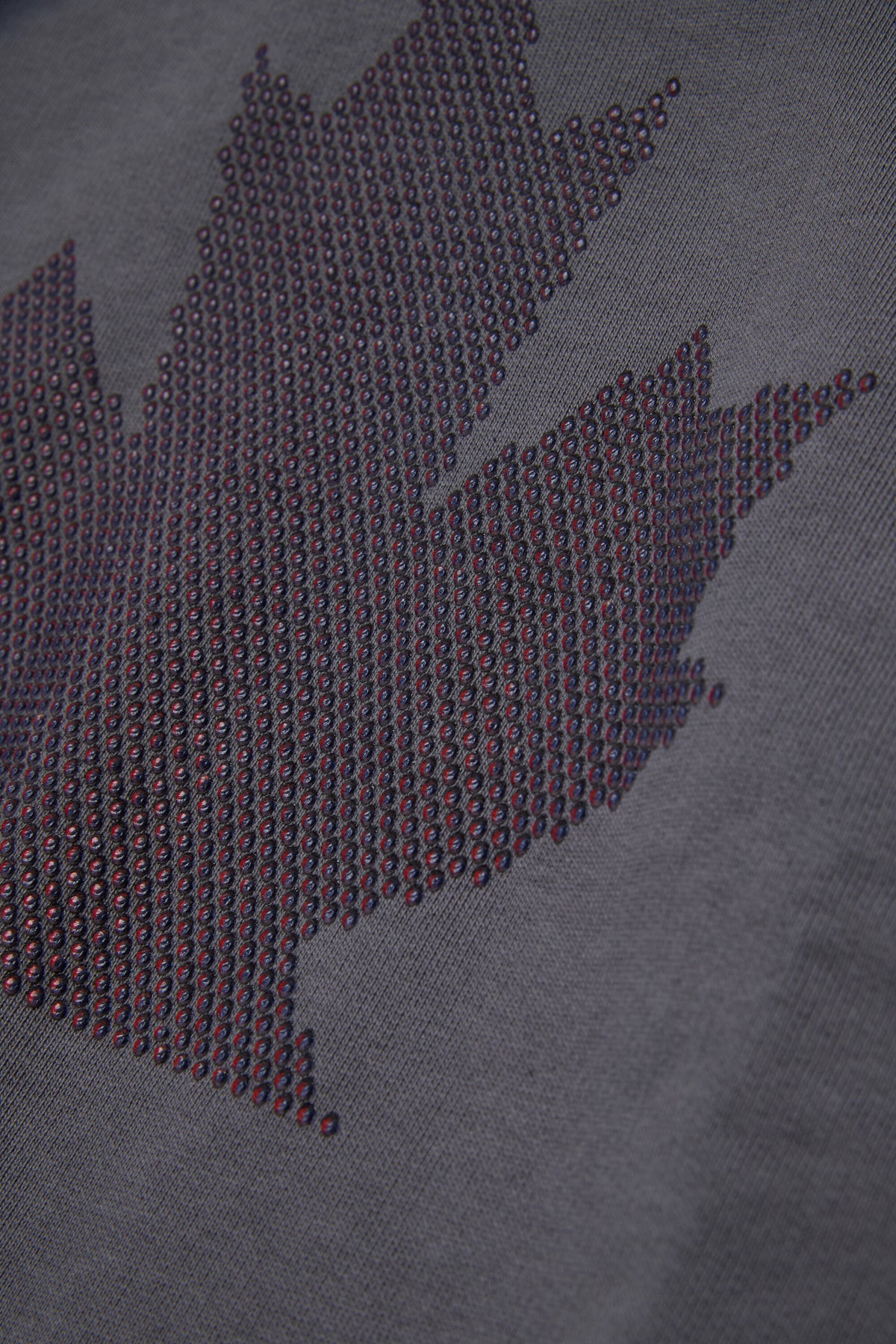 Hooded sweatshirt with logo