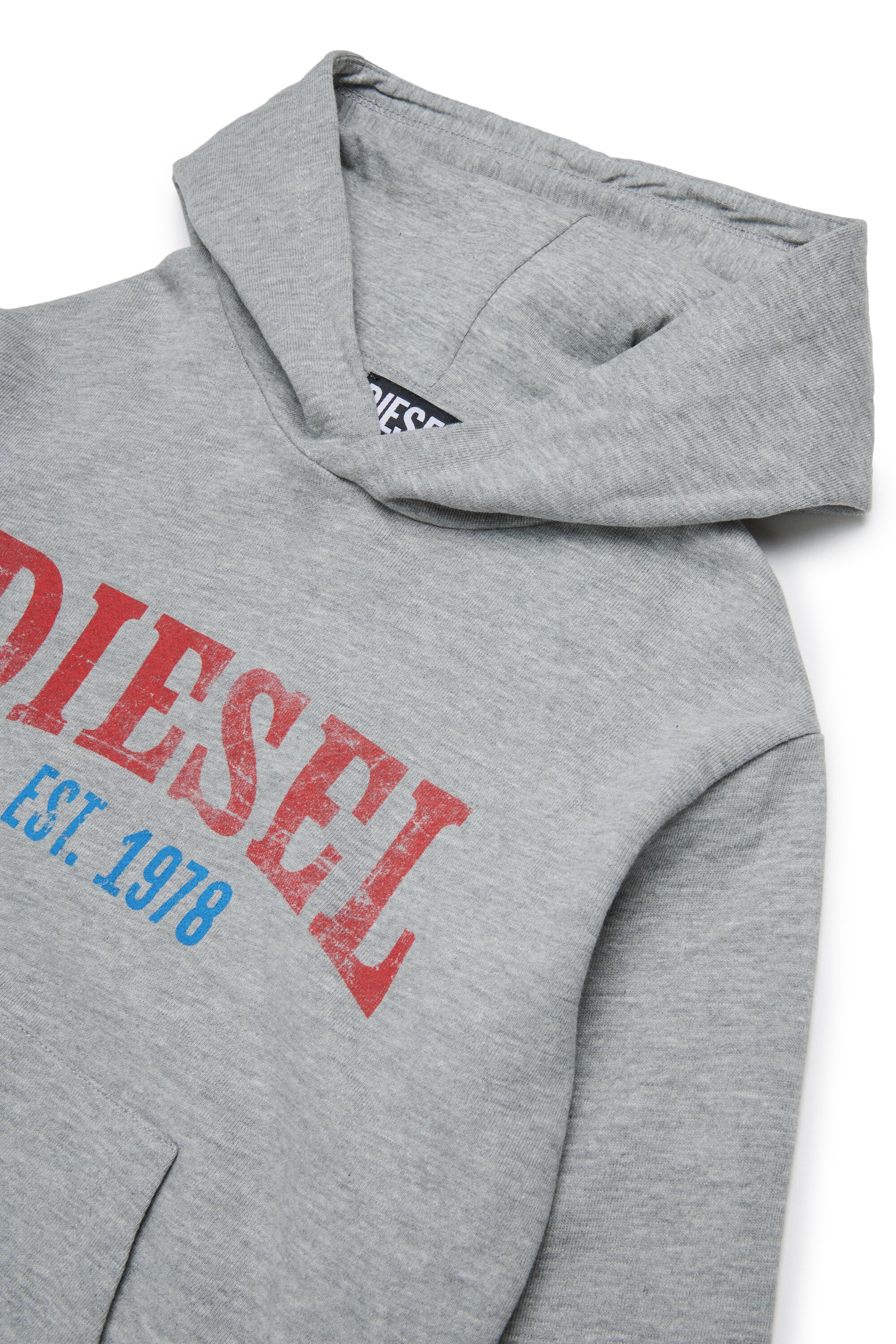 Hooded sweatshirt with logo