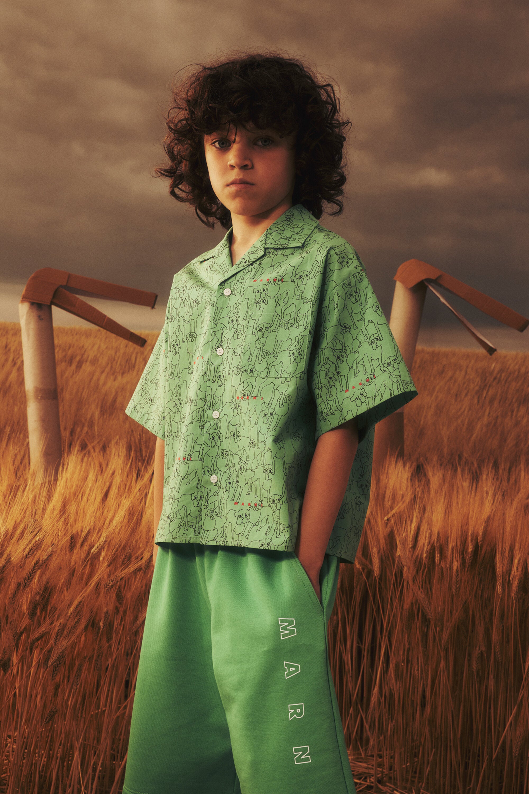 Camisa de bolos en popelín allover Joy