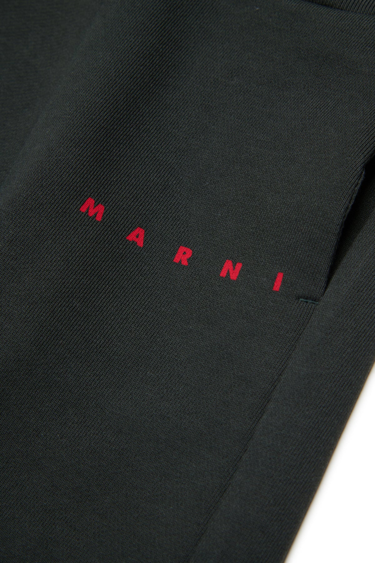 Pantalones deportivos de felpa con logotipo