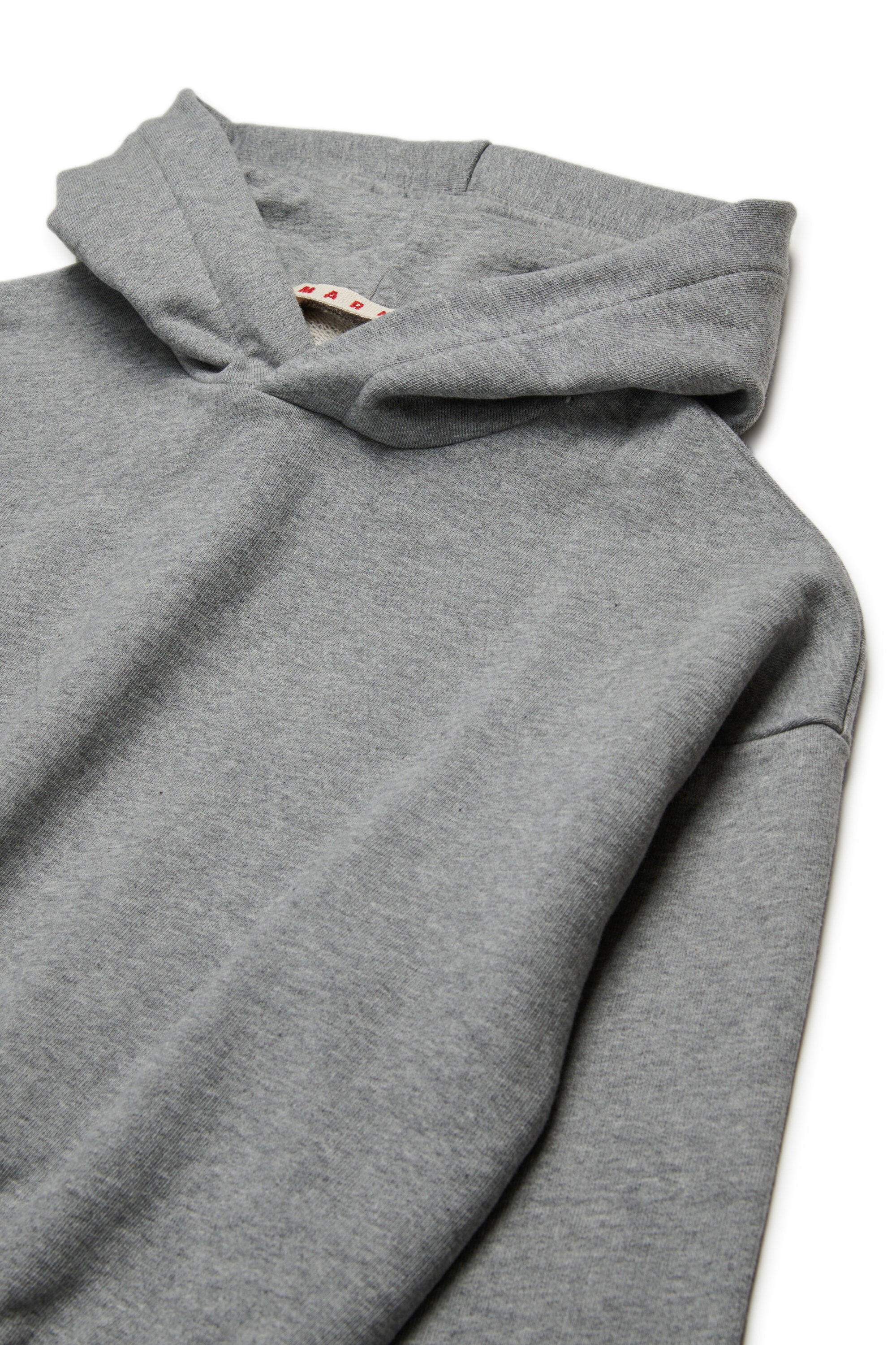 Hooded sweatshirt with logoed elastic