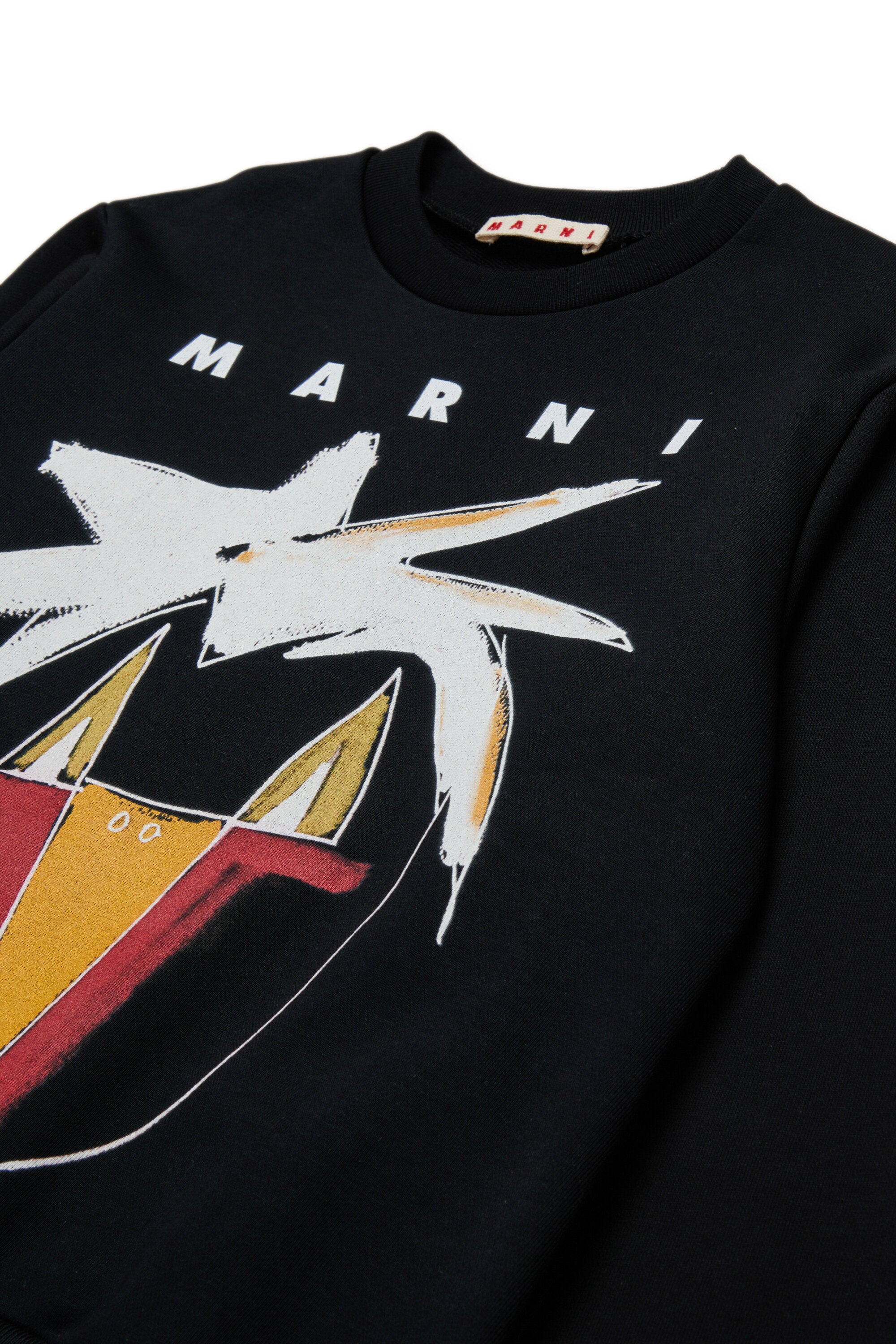 Sudadera de cuello redondo con gráficos Jungle