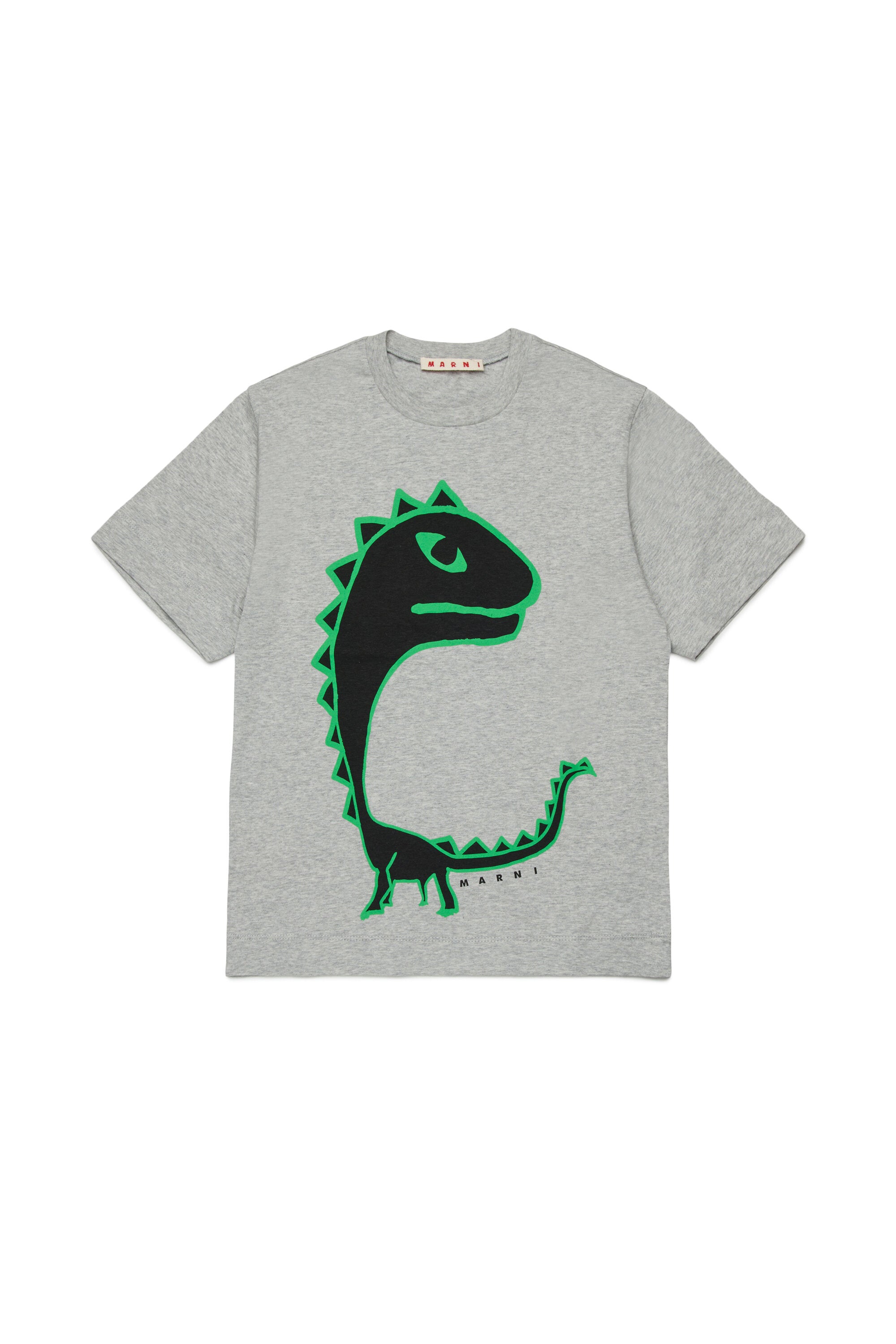 Camiseta con estampado de dinosaurio