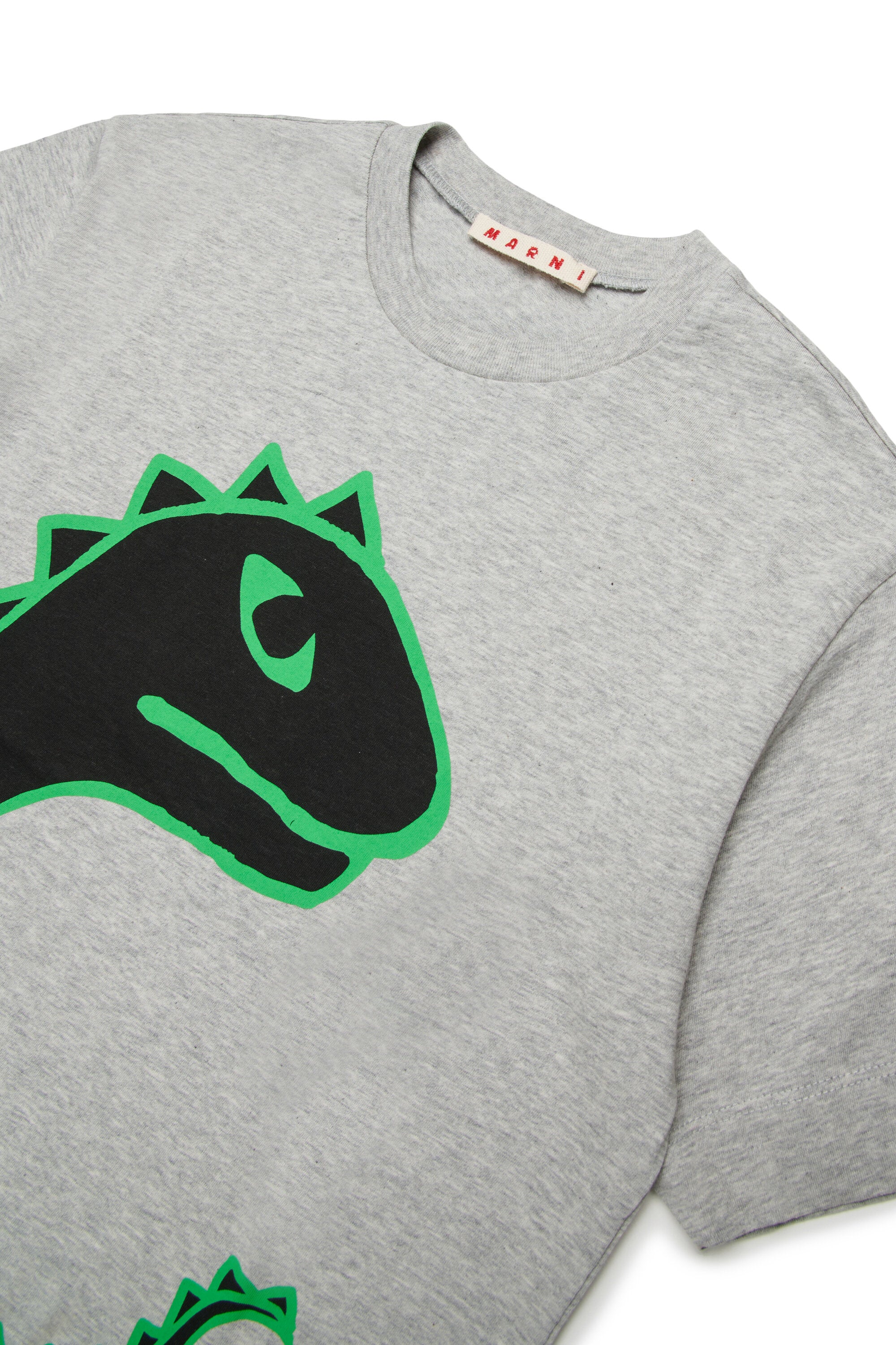 T-shirt with dinosaur print