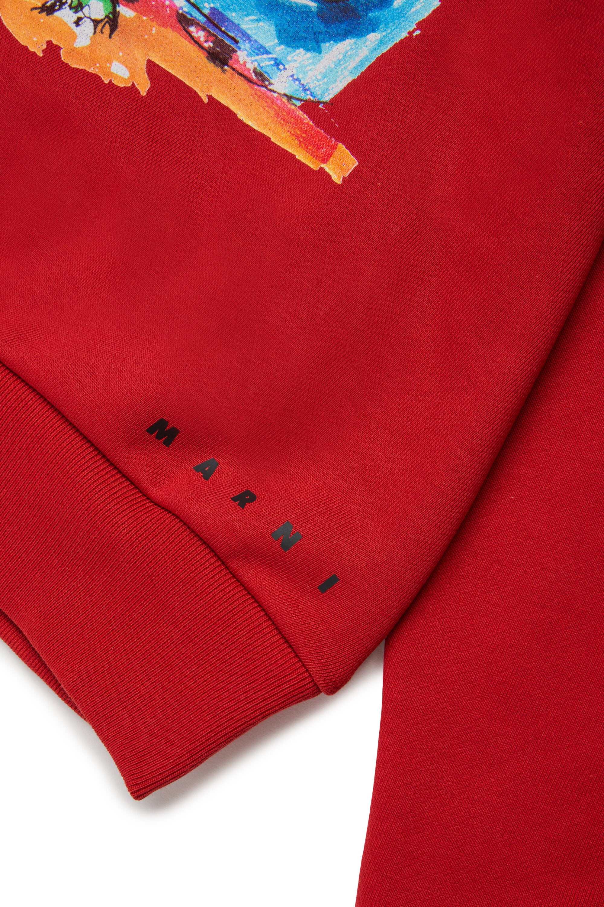 Crewneck sweatshirt with Jurassic World-themed logo