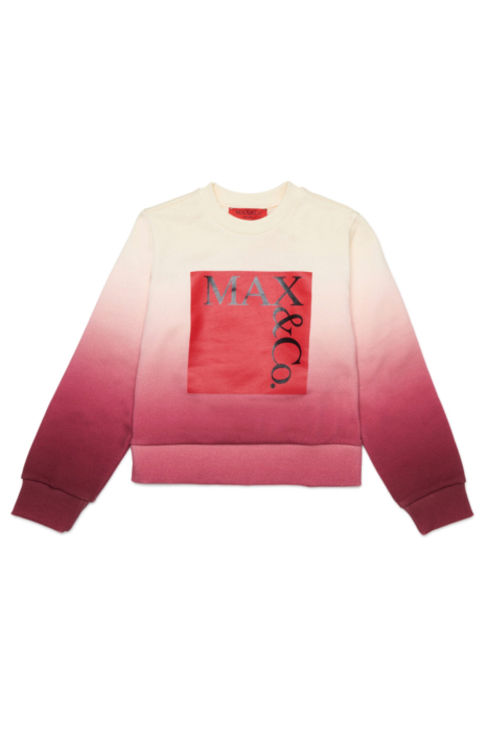 Crewneck sweatshirt with logo