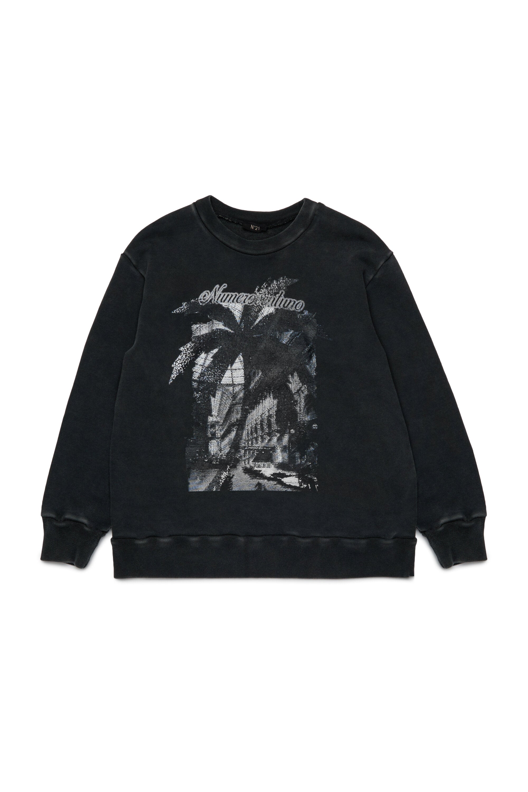 Crew-neck sweatshirt with Palm graphics