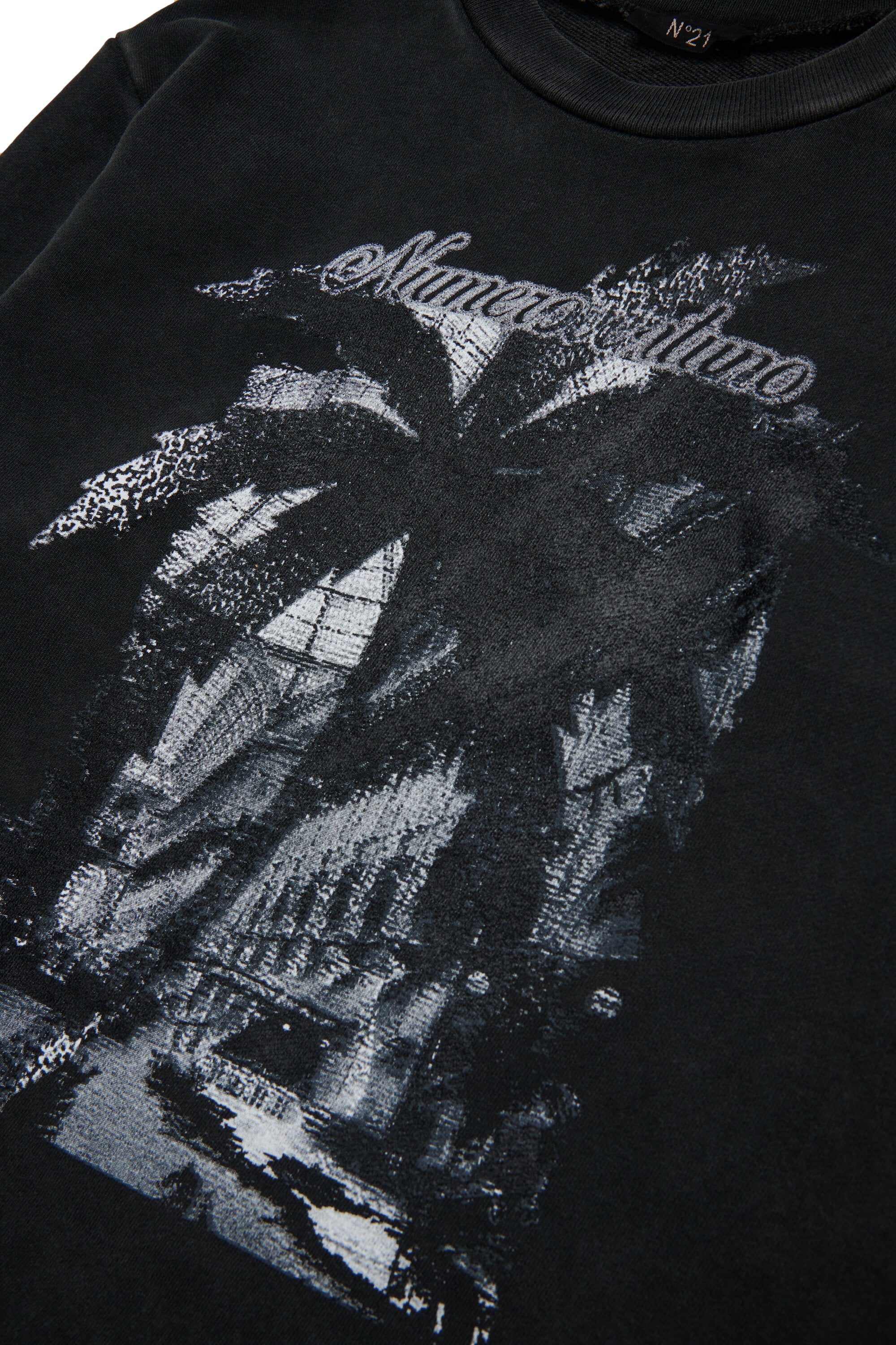 Crew-neck sweatshirt with Palm graphics