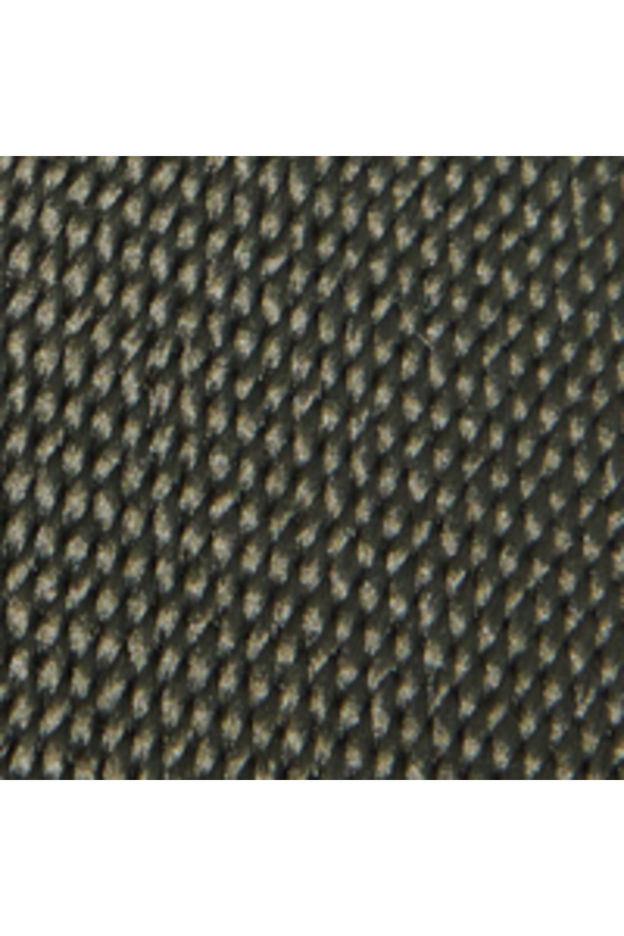 Cinturón de lona con logotipo Oval D