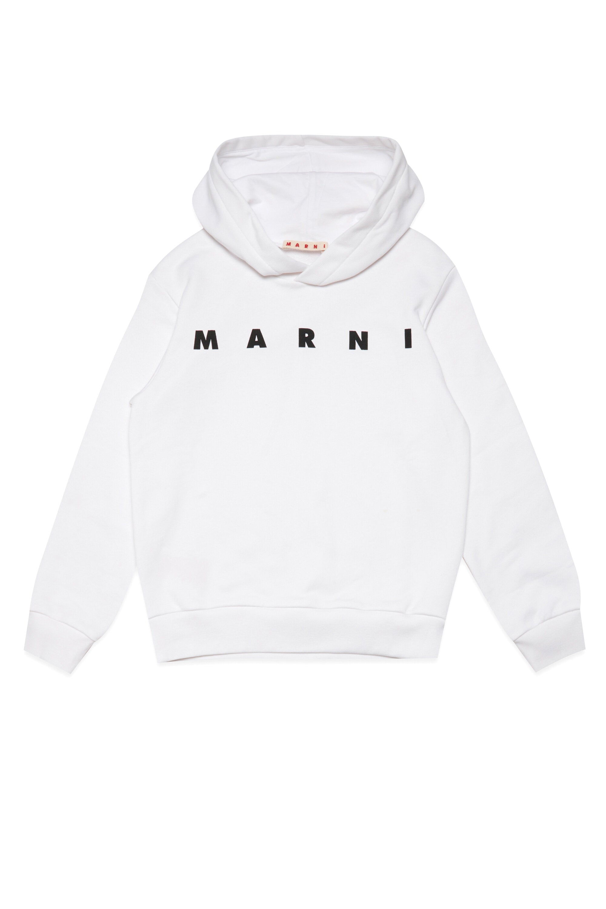 Hooded sweatshirt with logo