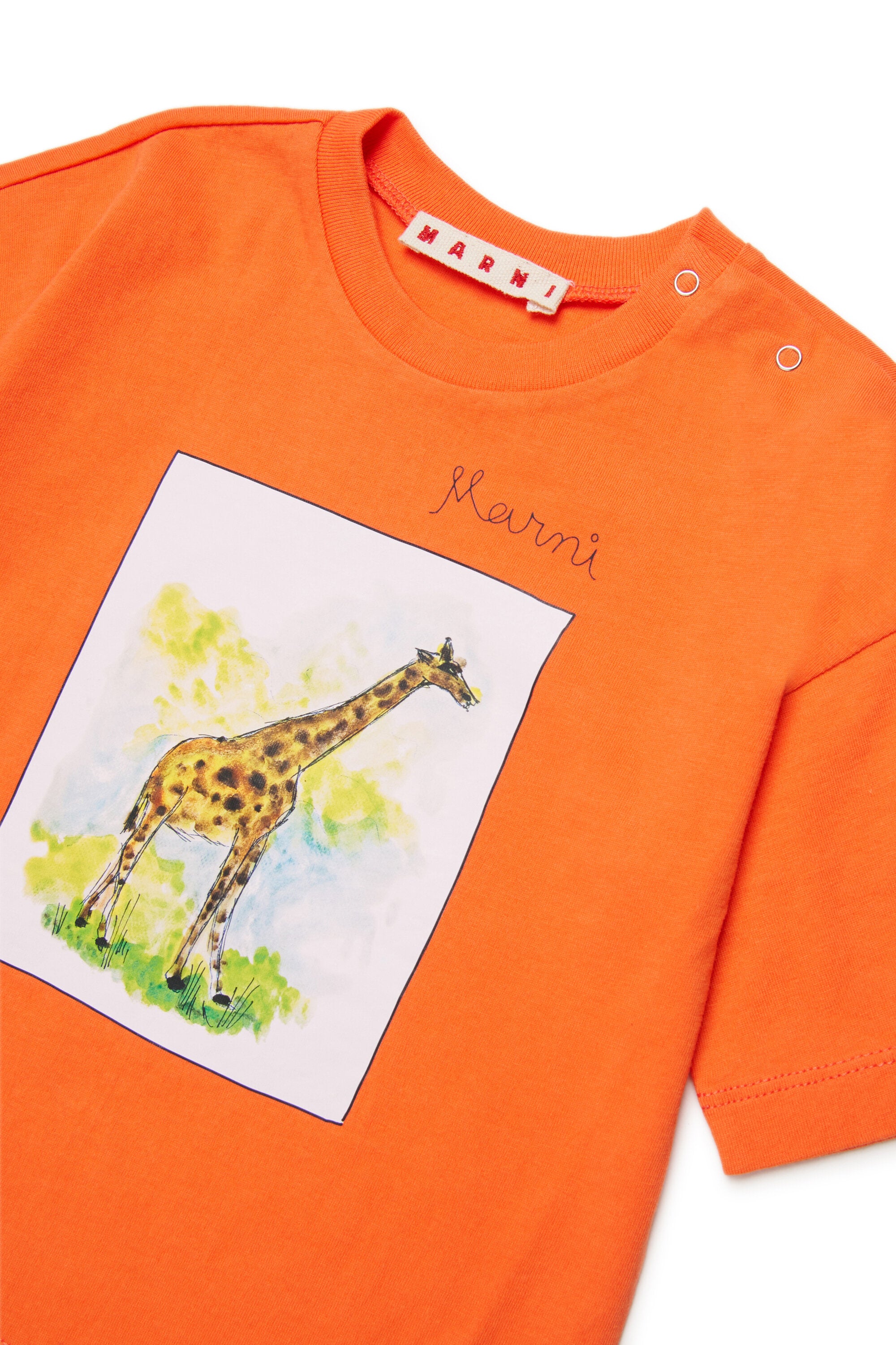 Marni baby T-shirt | BRAVE KID
