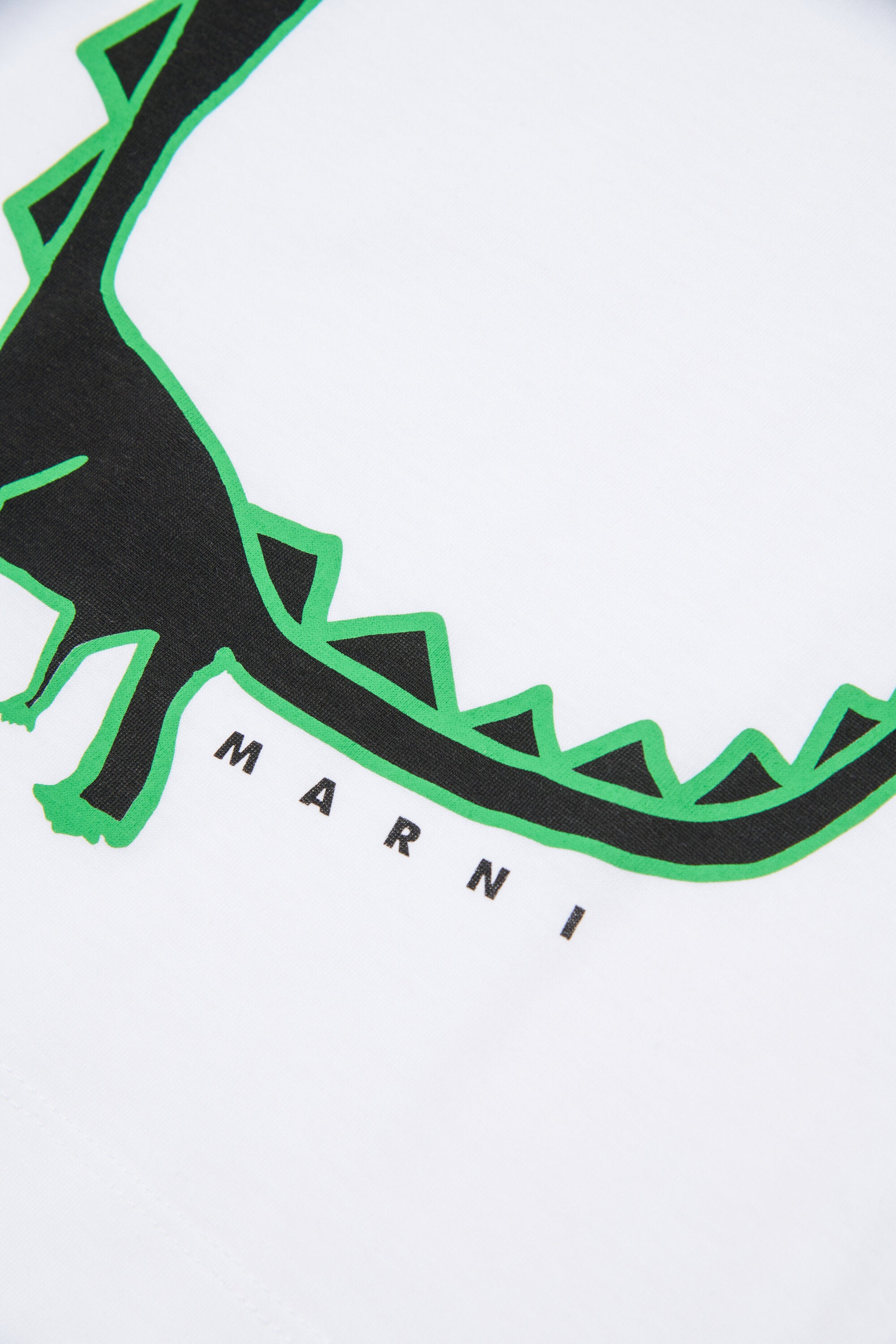 Camiseta con estampado de dinosaurio
