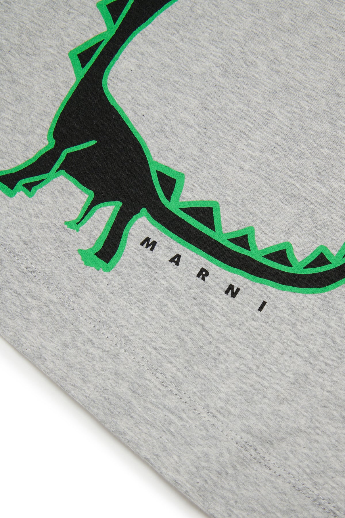 Camiseta con estampado de dinosaurio