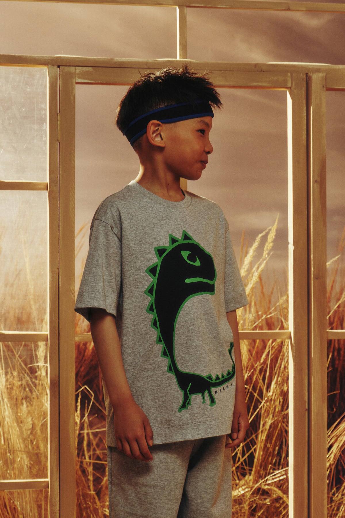 Camiseta con estampado de dinosaurio