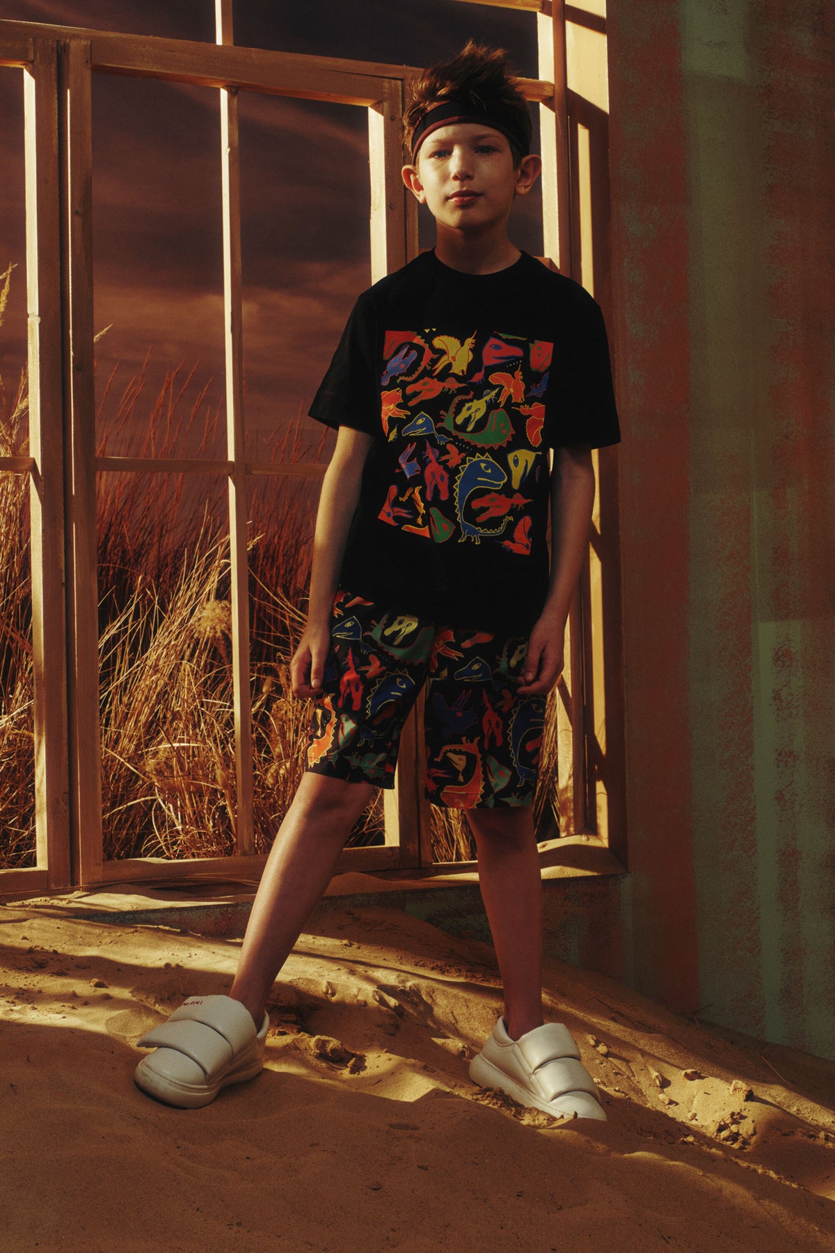 Camiseta con estampado de dinosaurios multicolor