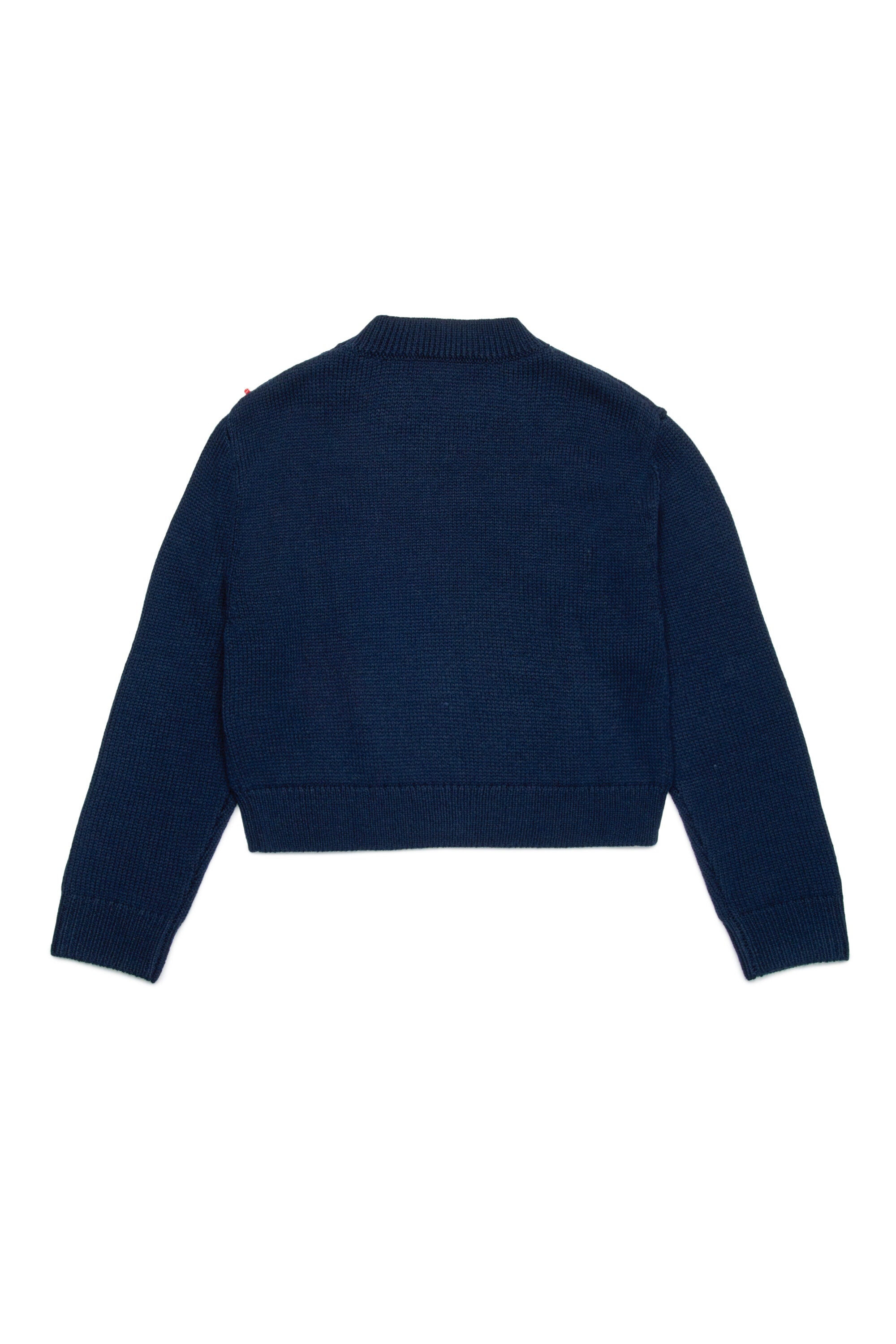 Max store & Co sweater