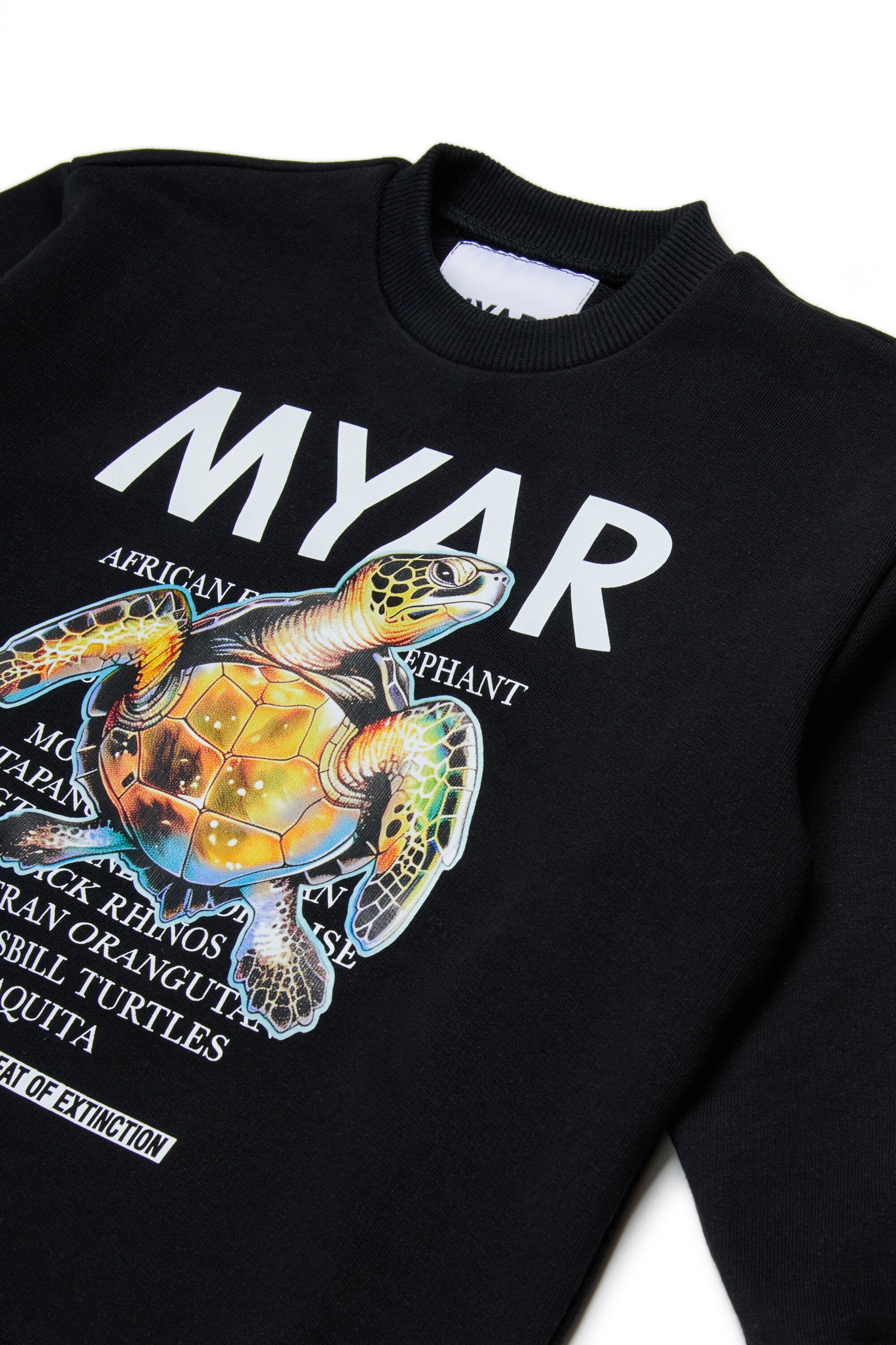 Crewneck sweatshirt with graphic print