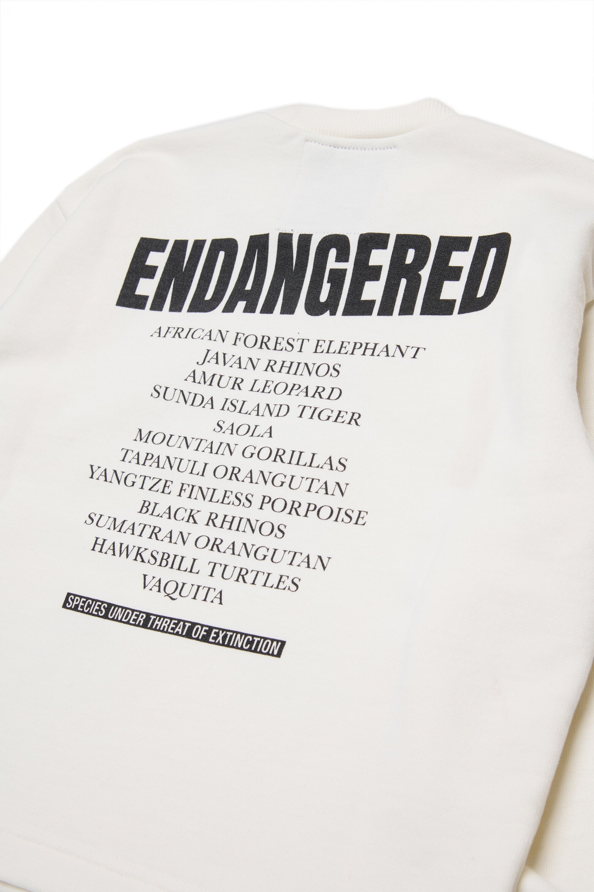 Crewneck sweatshirt with graphic print