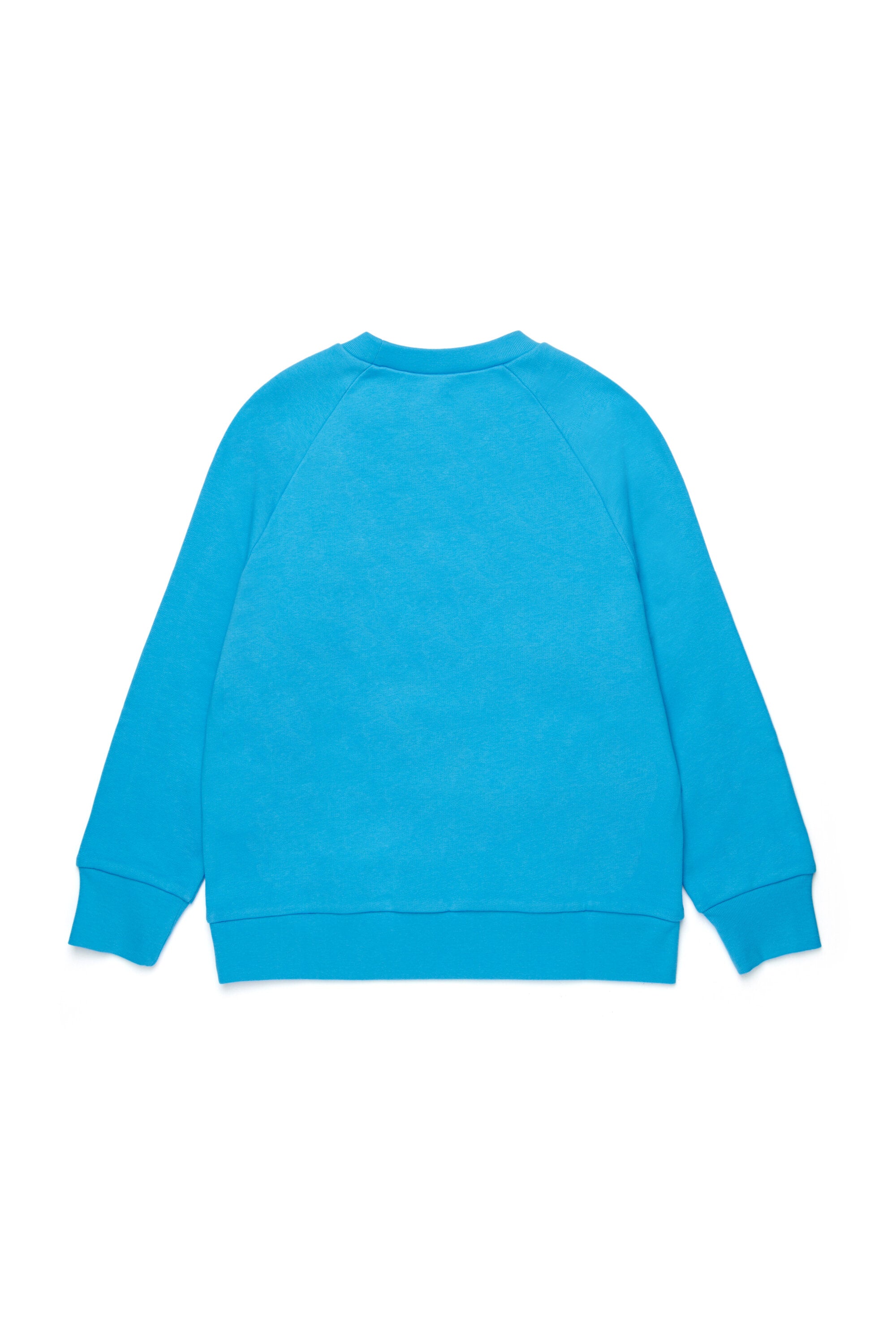 Sudadera de cuello redondo con estampado de polo de hielo